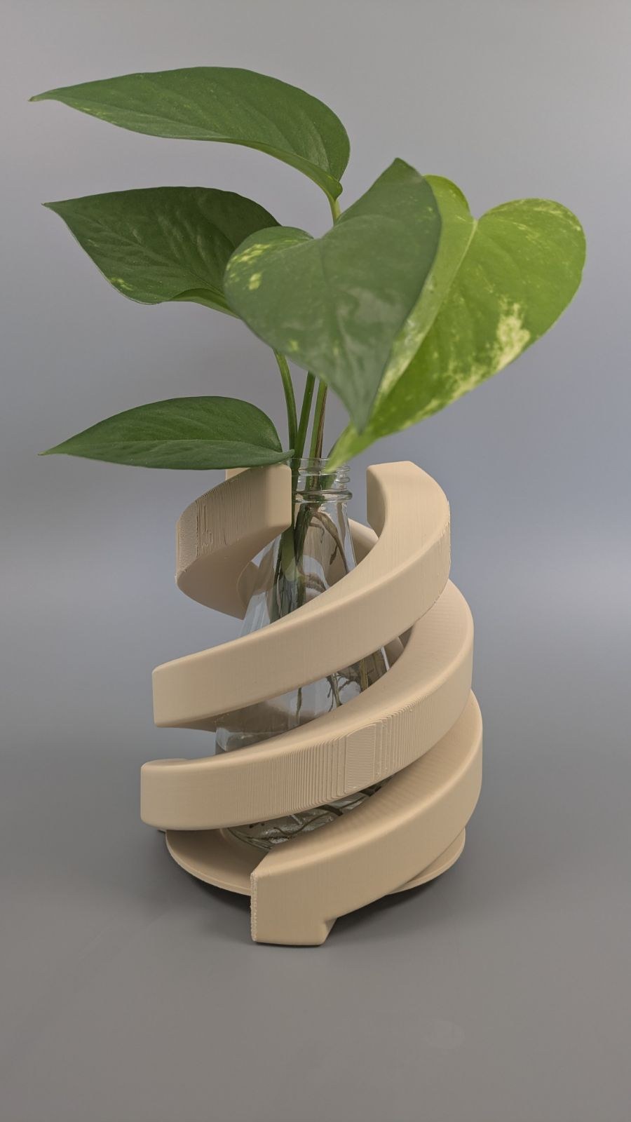 Aperture — Plant Table Holder